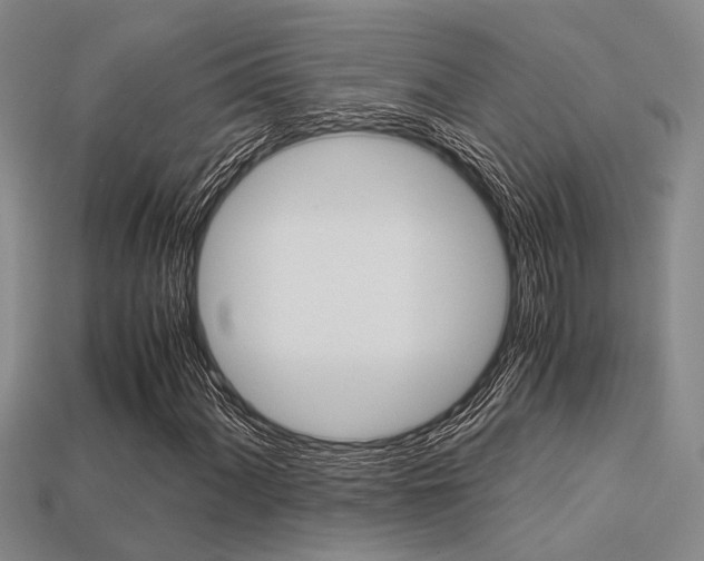 X0000113601060200909181104