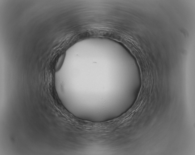 X0000113601061200909181104