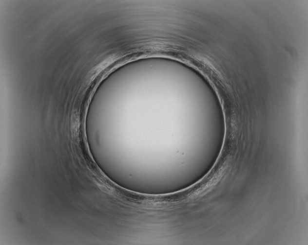 X0000113601065200909181104