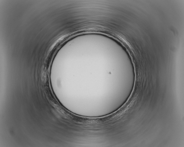 X0000113601067200909181104