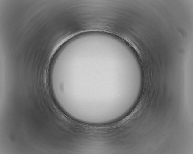 X0000113601069200909181104