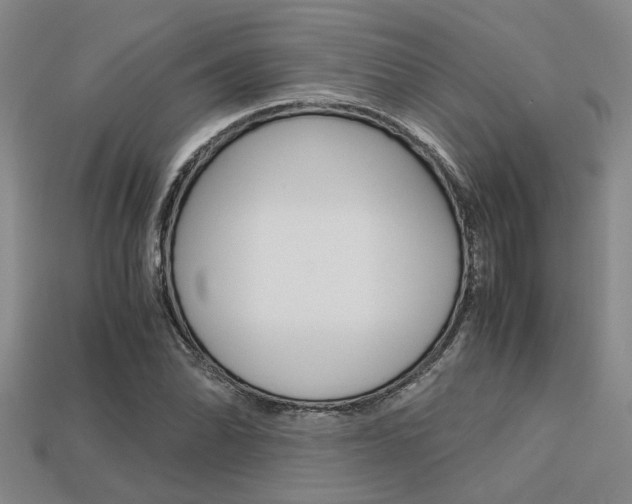 X0000113601070200909181104