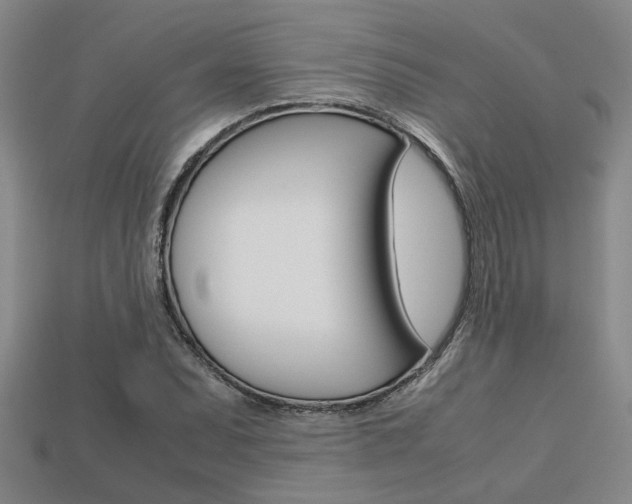 X0000113601071200909181104