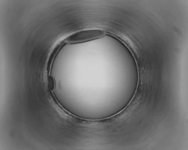 X0000113601072200909181104