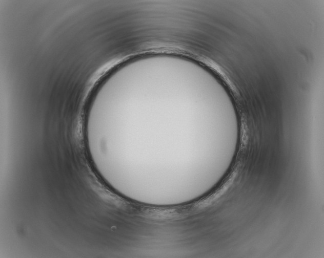 X0000113601074200909181104