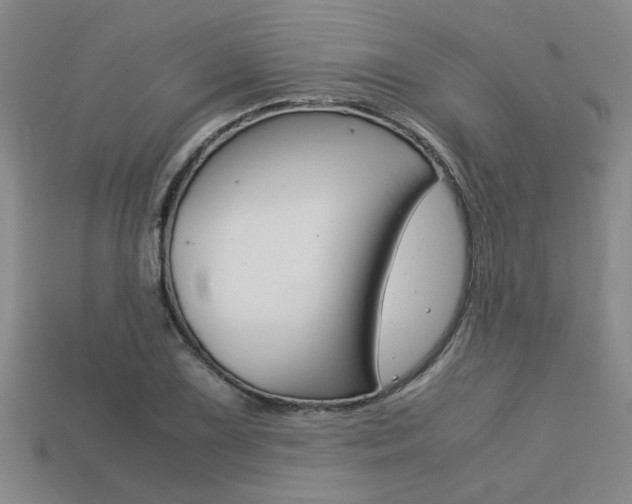 X0000113601075200909181104
