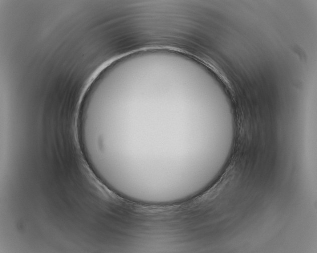 X0000113601076200909181104