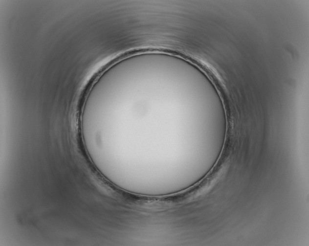 X0000113601077200909181104