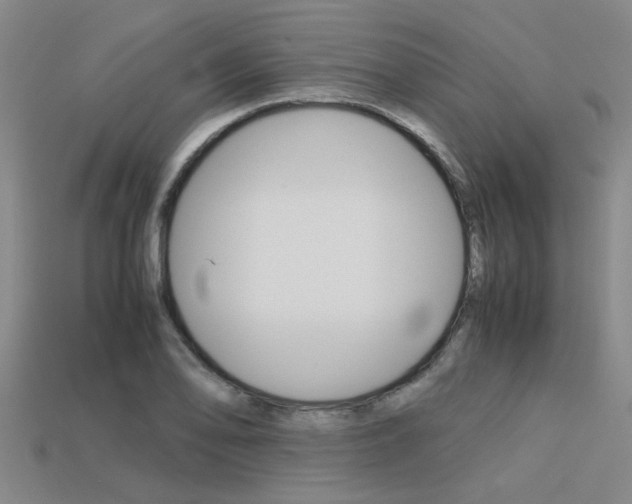 X0000113601078200909181104