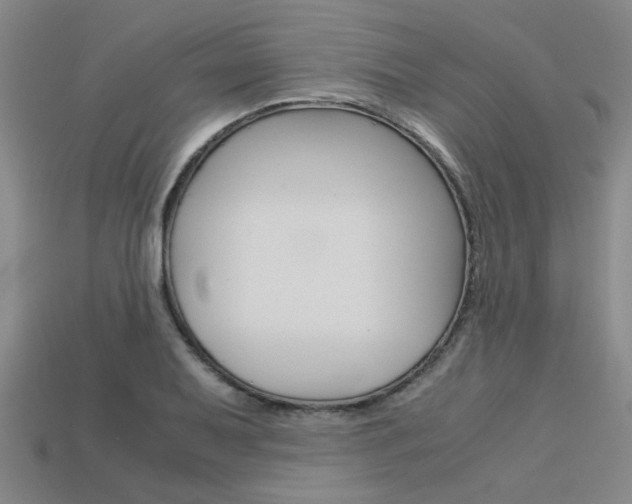 X0000113601079200909181104