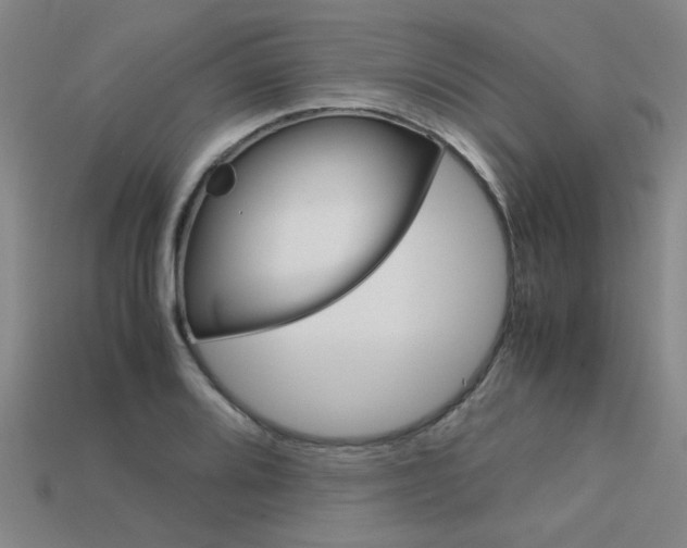 X0000113601080200909181104