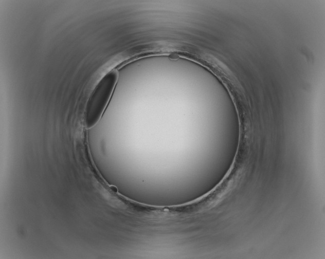 X0000113601081200909181104