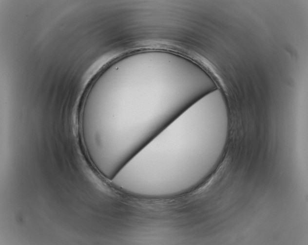 X0000113601082200909181104
