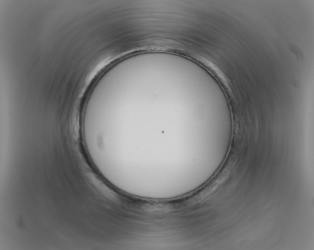 X0000113601083200909181104