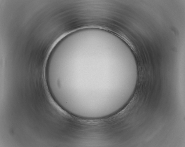 X0000113601084200909181104