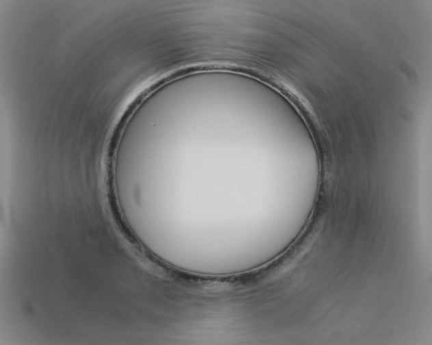 X0000113601085200909181104