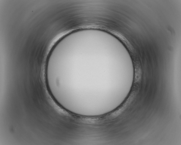 X0000113601086200909181104