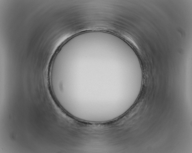 X0000113601087200909181104