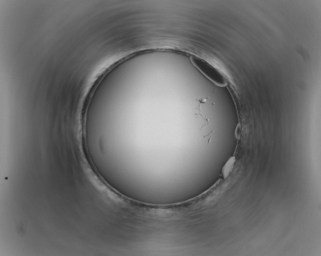 X0000113601088200909181104