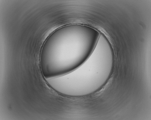 X0000113601089200909181104