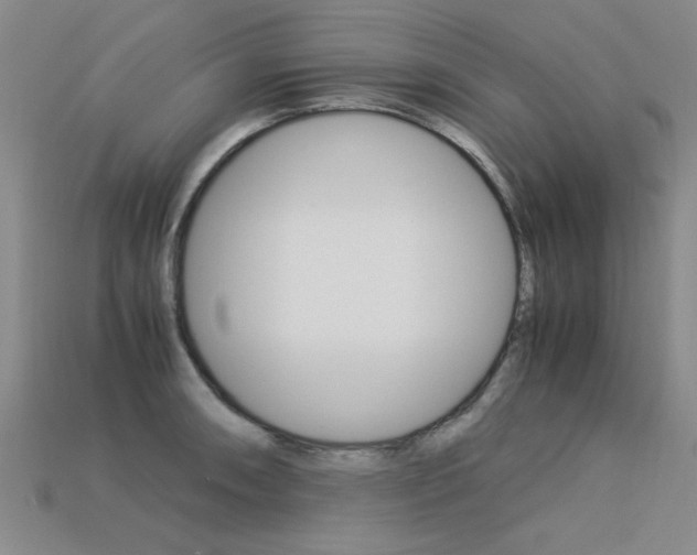 X0000113601090200909181104