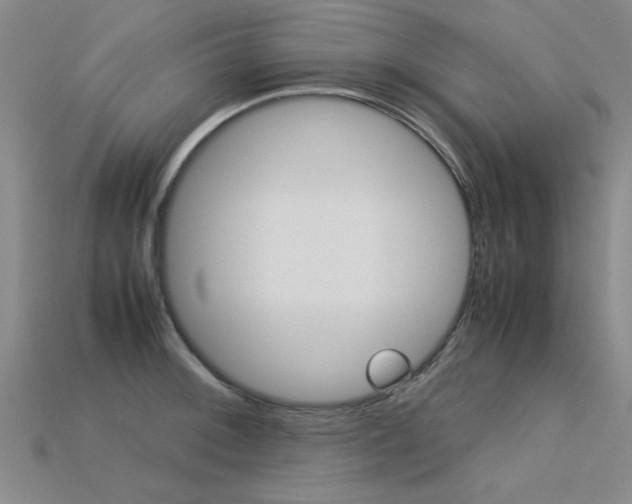 X0000113601092200909181104