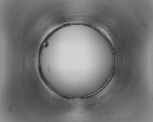 X0000113601093200909181104
