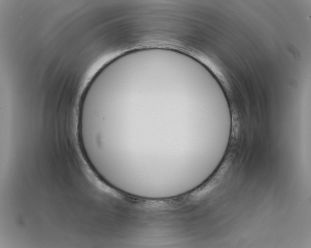 X0000113601094200909181104