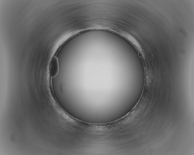 X0000113601096200909181103