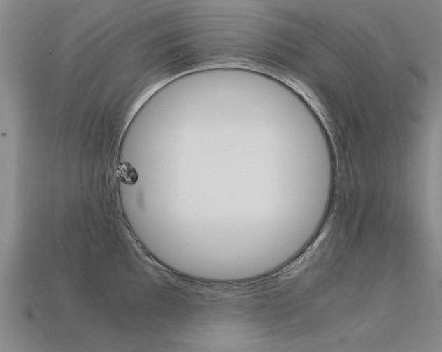 X0000113601097200909181103