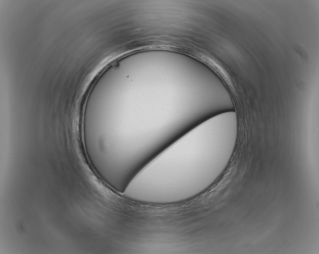 X0000113601099200909181103