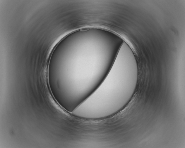X0000113601100200909181103
