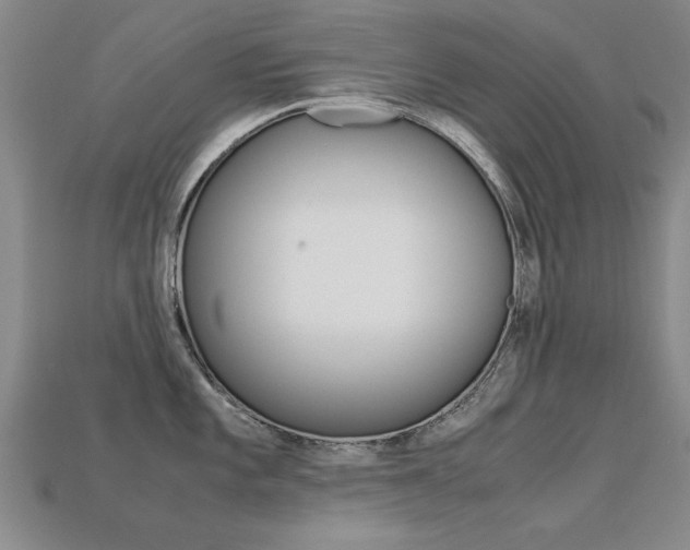 X0000113601101200909181103