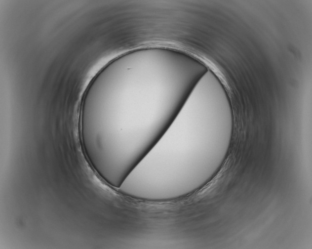 X0000113601102200909181103