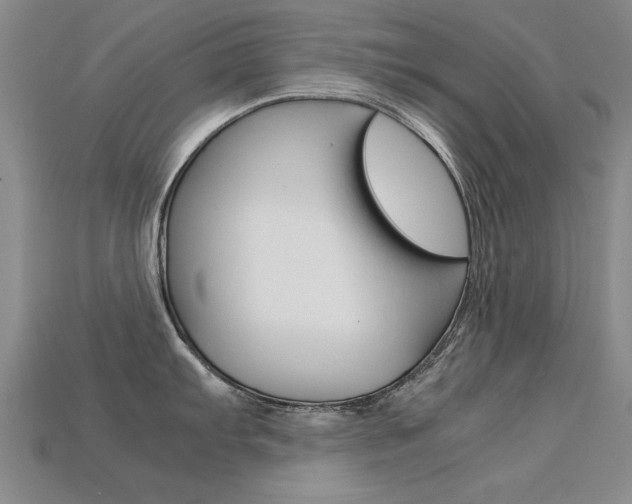X0000113601103200909181103