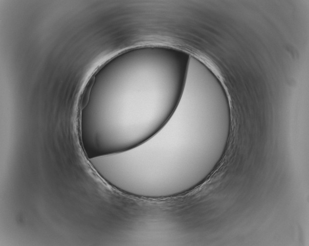 X0000113601104200909181103