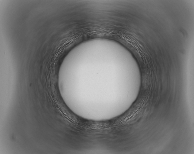 X0000113601105200909181103