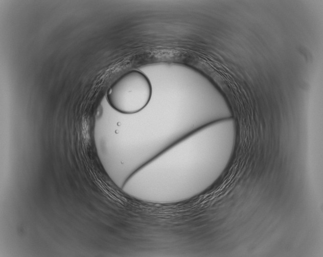 X0000113601106200909181103