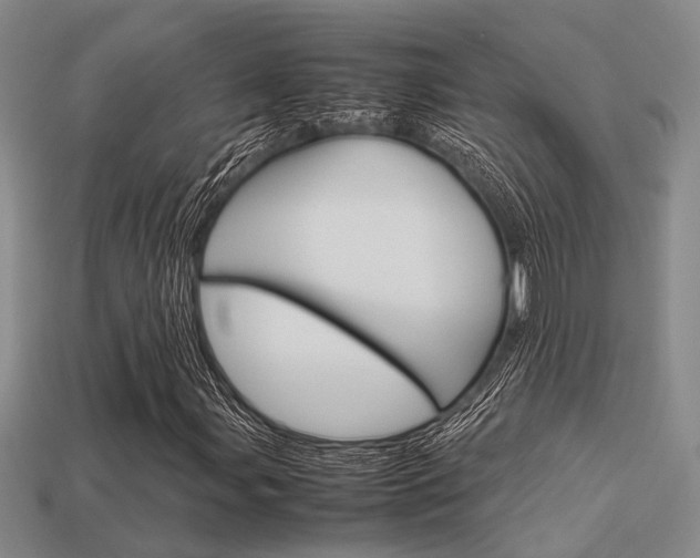X0000113601107200909181103