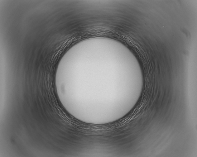 X0000113601108200909181103