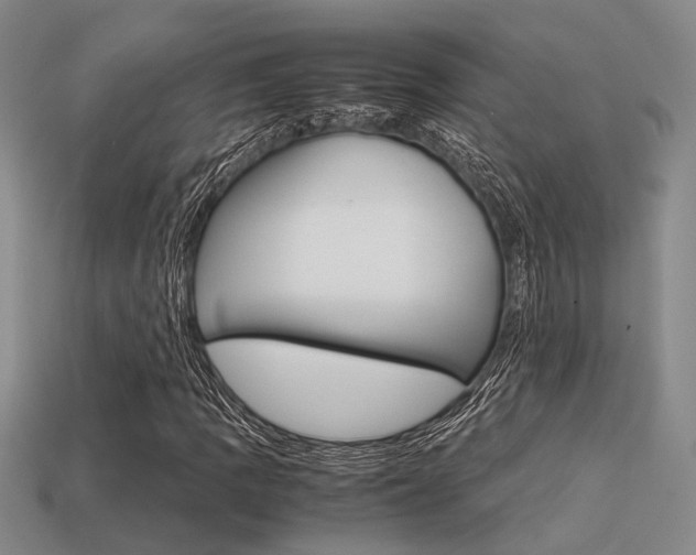 X0000113601109200909181103