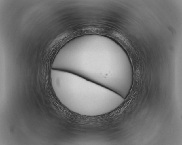 X0000113601111200909181103