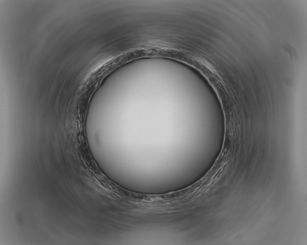 X0000113601112200909181103