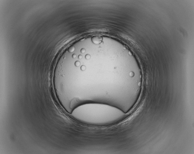 X0000113601113200909181103