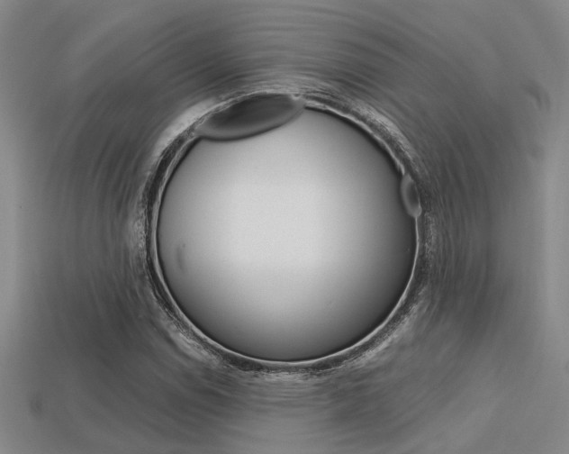 X0000113601114200909181103