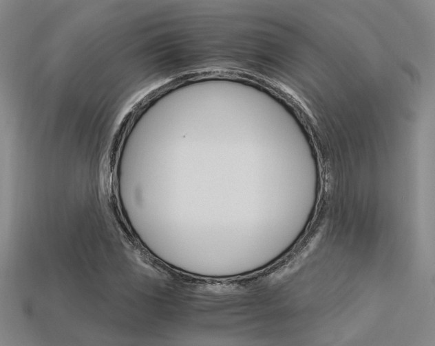 X0000113601117200909181103