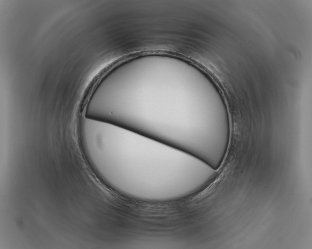 X0000113601119200909181103