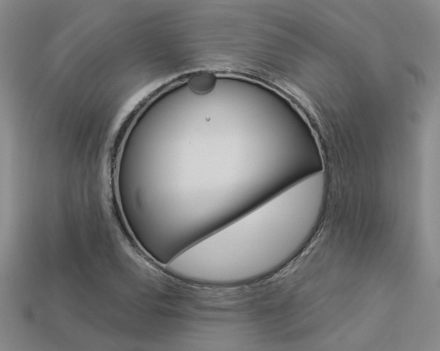 X0000113601120200909181103