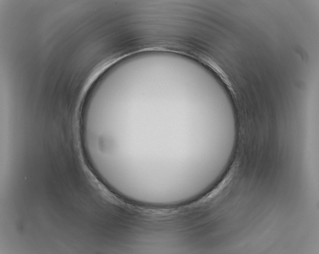 X0000113601122200909181103