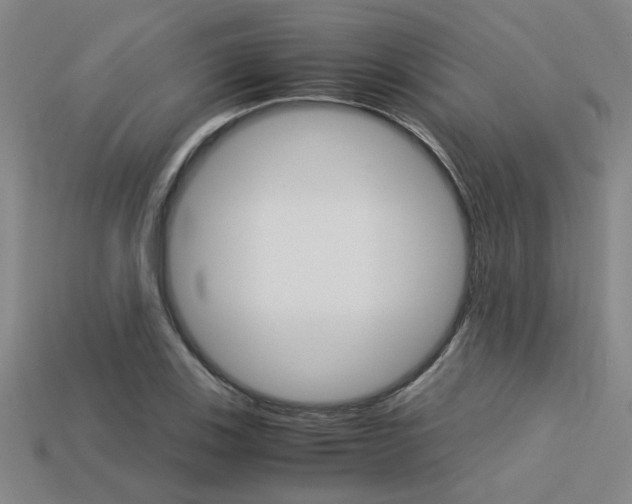 X0000113601123200909181103